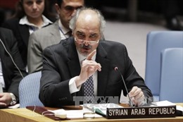 Đại sứ Syria tại LHQ kêu gọi giải tán liên quân do Mỹ dẫn đầu 